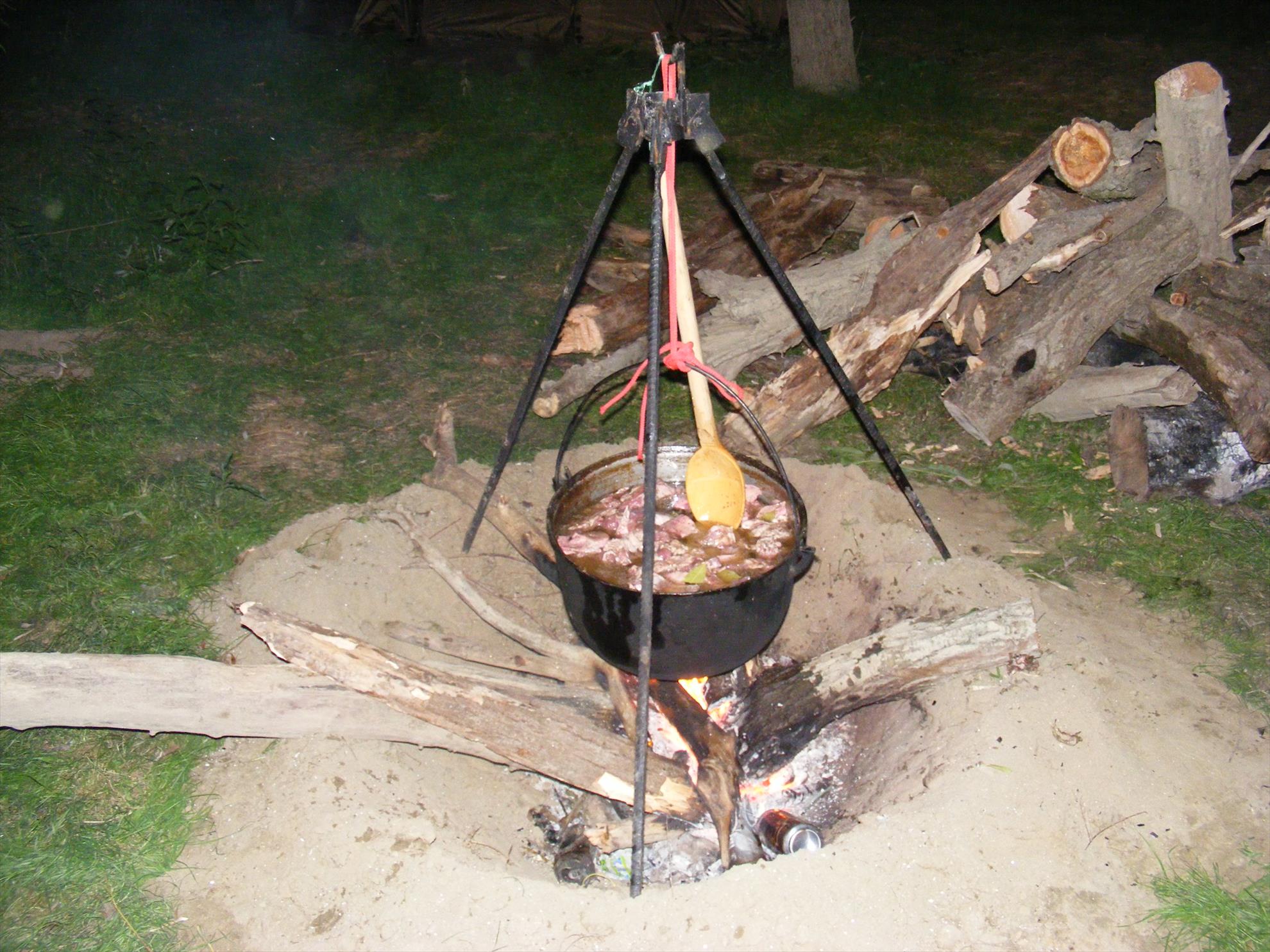 dunarea - dscf0097.JPG